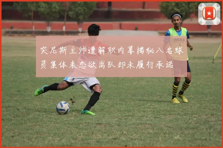 突尼斯主帅遭解职内幕揭秘八名球员集体表态欲离队却未履行承诺